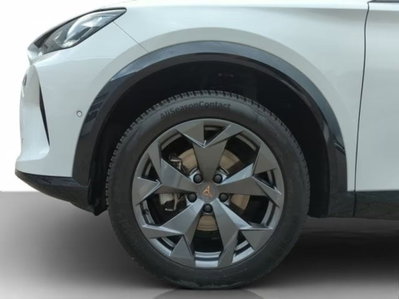 Cupra Formentor Formentor 2.0 TDI (15)