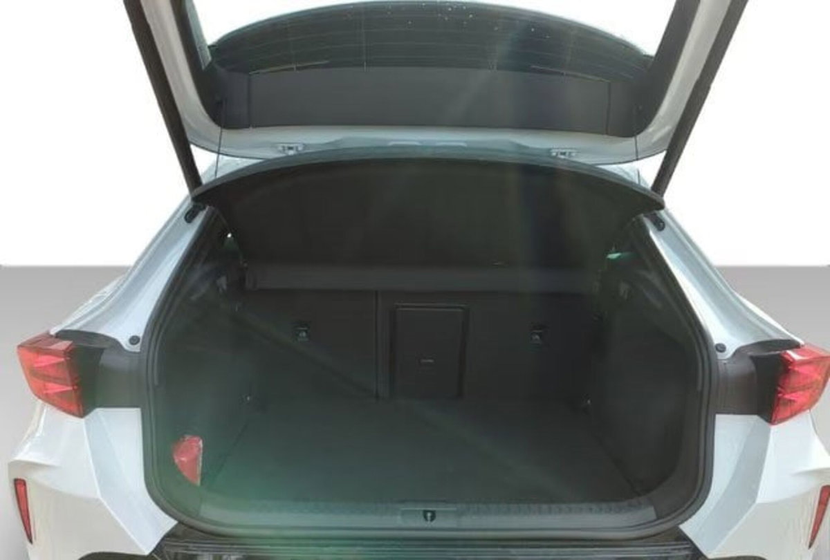Cupra Formentor Formentor 2.0 TDI (6)