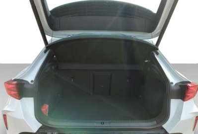 Cupra Formentor Formentor 2.0 TDI (6)