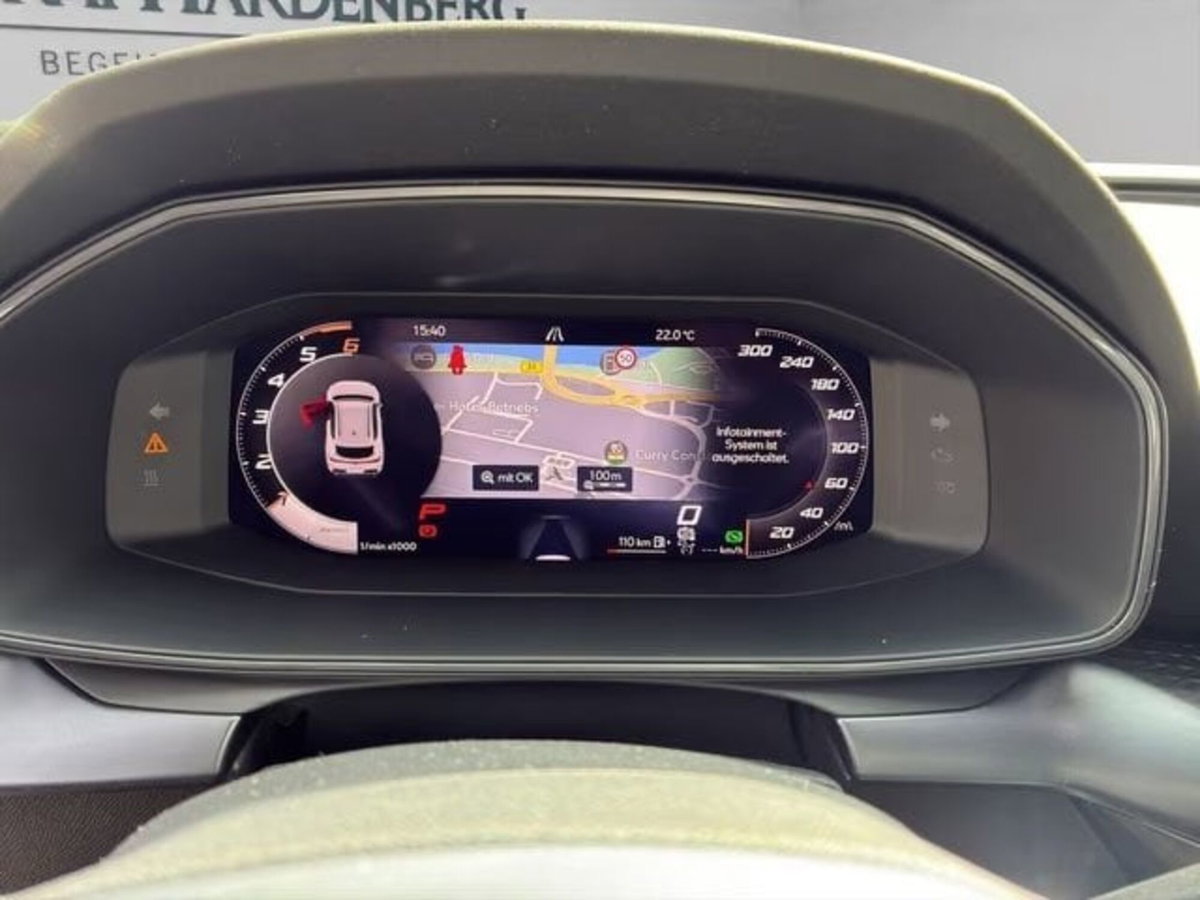 Cupra Formentor Formentor 2.0 TDI (13)