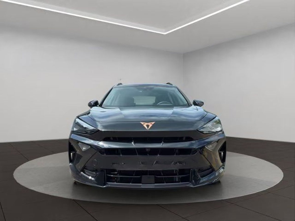 Cupra Formentor Formentor 2.0 TDI (8)