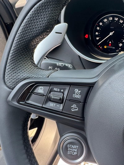 Alfa Romeo Stelvio 2.2 t Veloce Q4 210cv auto (10)