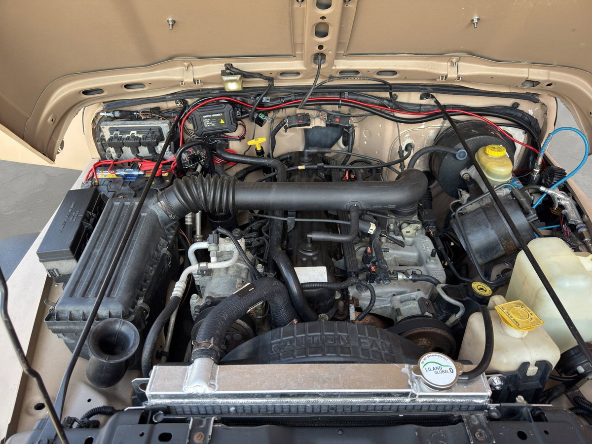 Jeep Wrangler 4.0 cat Hard top (EU) (20)