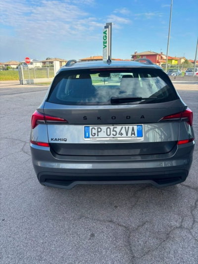 Skoda Kamiq 1.5 tsi Black Dots 150cv dsg (2)