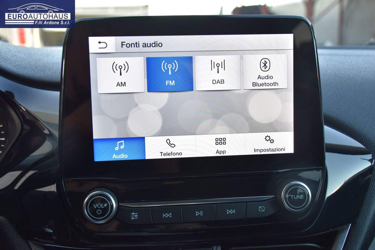 Ford Fiesta 1.0 Ecoboost Hybrid 125 CV 5 porte Titanium (7)