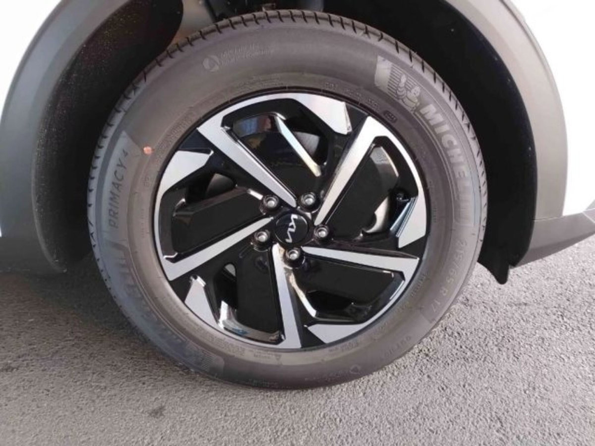 Kia Sportage 1.6 tgdi mhev Business 160cv dct (17)