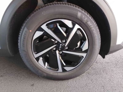 Kia Sportage 1.6 tgdi mhev Business 160cv dct (17)