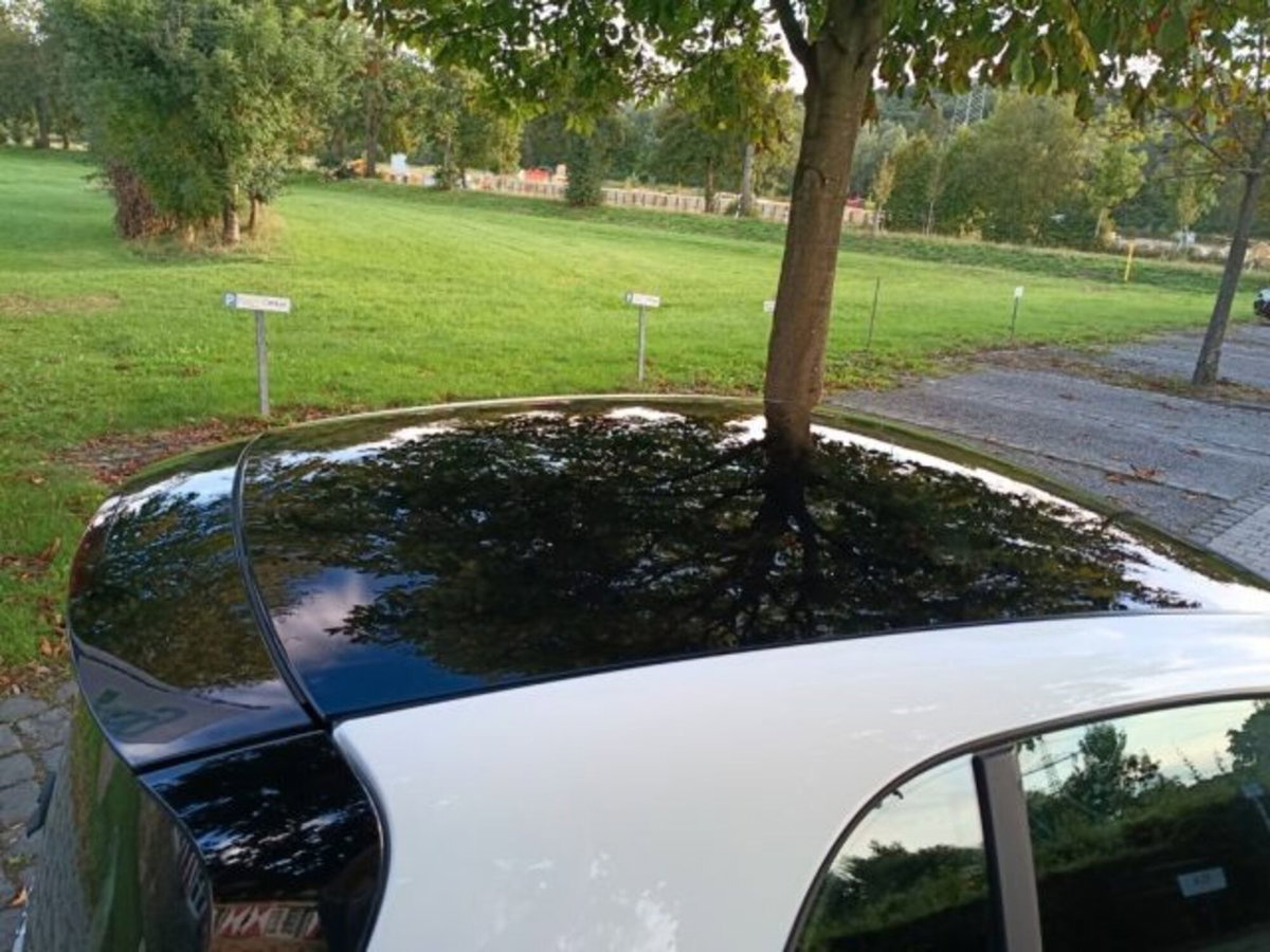 smart Fortwo 90 0.9 Turbo Prime (10)