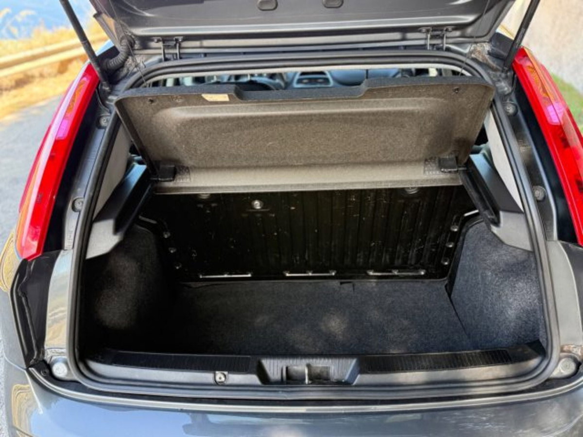 Fiat Punto 1.3 MJT II S&S 95 CV 5 porte Lounge (15)