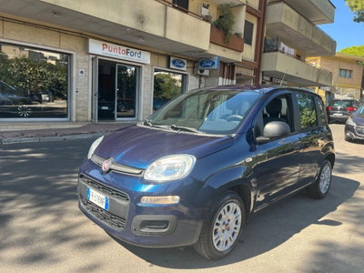Fiat Panda 1.2 Pop usata