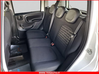 Fiat Panda Cross Cross 1.0 FireFly S&S Hybrid (11)