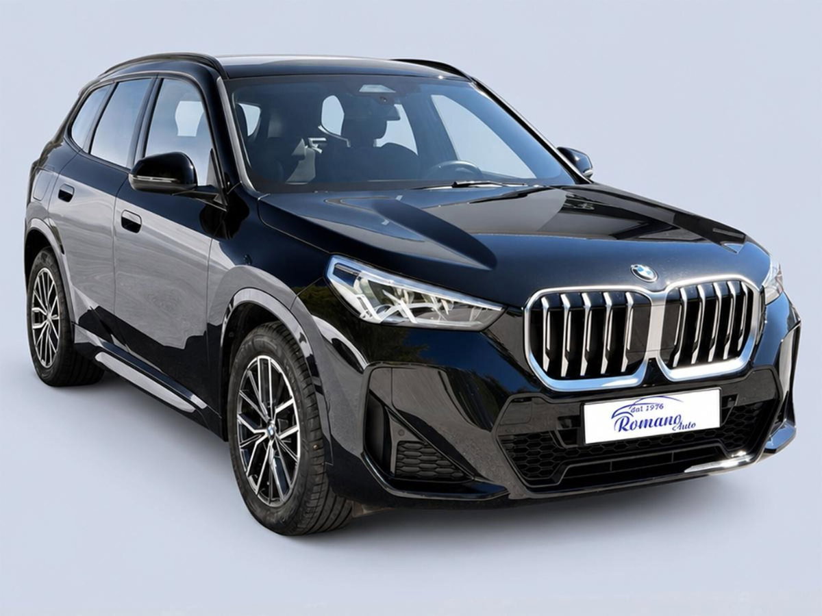 BMW X1 sdrive18d MSport auto (2)