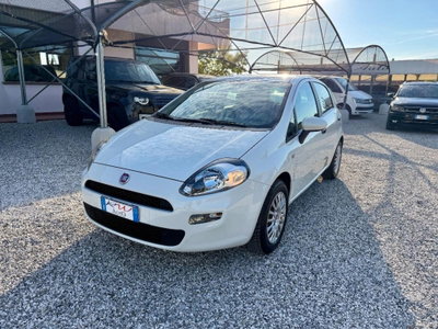 Fiat Punto 1.2 8V 5 porte Street