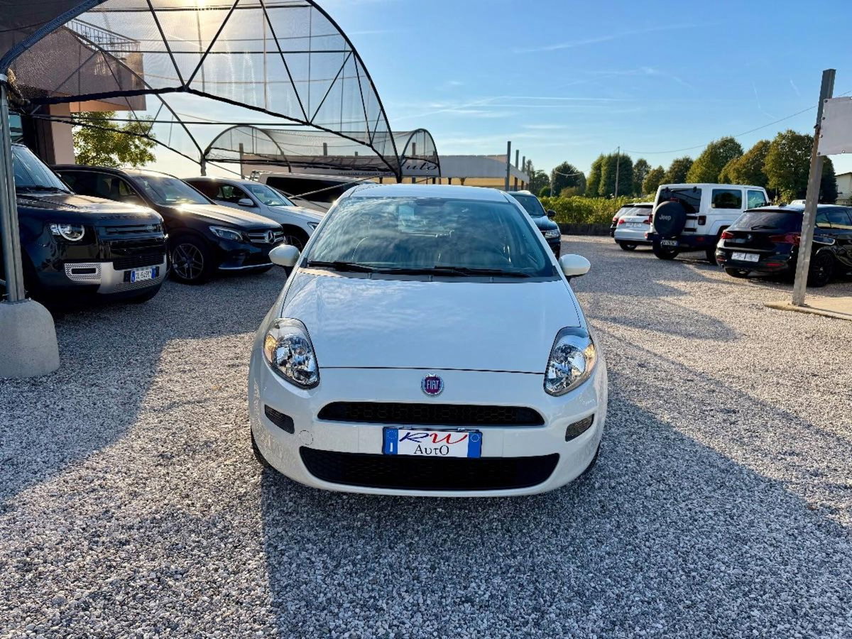 Fiat Punto 1.2 8V 5 porte Street (3)