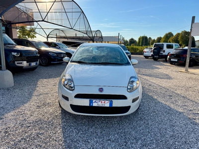 Fiat Punto 1.2 8V 5 porte Street (3)