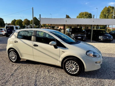 Fiat Punto 1.2 8V 5 porte Street (4)