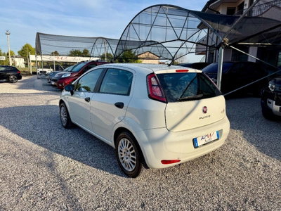 Fiat Punto 1.2 8V 5 porte Street (5)