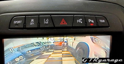 Opel Insignia Station Wagon CDTI 4x4 170CV Start&Stop Sports Cosmo (13)