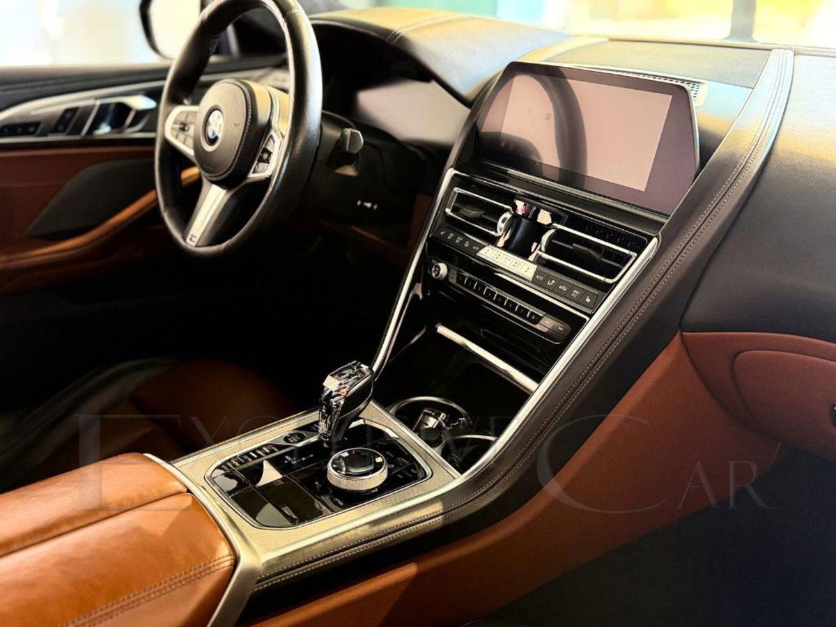 BMW Serie 8 Coupé 840d xDrive (11)
