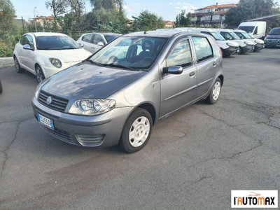 Fiat Punto 1.2 5 porte Actual usata