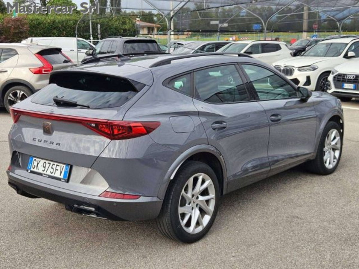 Cupra Formentor Formentor 2.0 TDI (6)
