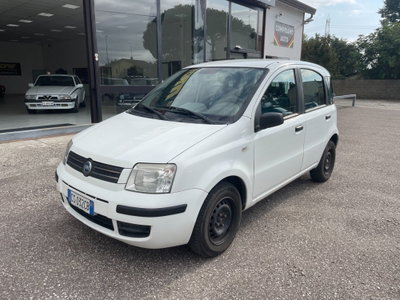 Fiat Panda 1.2 Dynamic usata