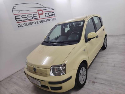 Fiat Panda 1.1 Actual usata