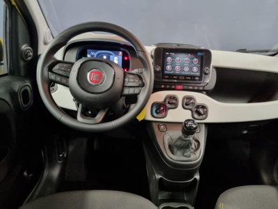 Fiat Panda Cross 1.0 firefly hybrid Cross s&s 70cv 5p.ti (19)