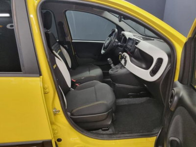 Fiat Panda Cross 1.0 firefly hybrid Cross s&s 70cv 5p.ti (8)