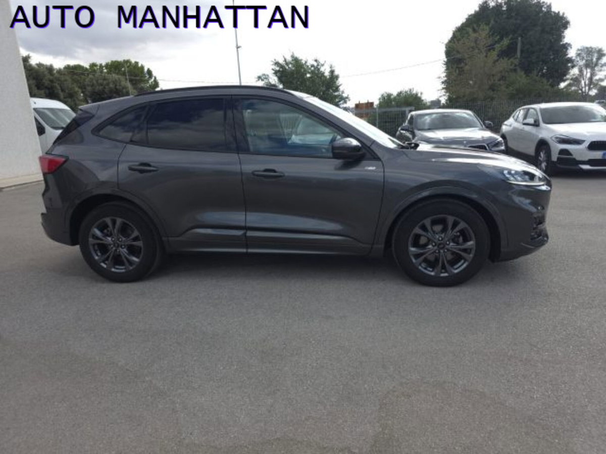 Ford Kuga 2.0 EcoBlue 120 CV aut. 2WD ST-Line X (13)
