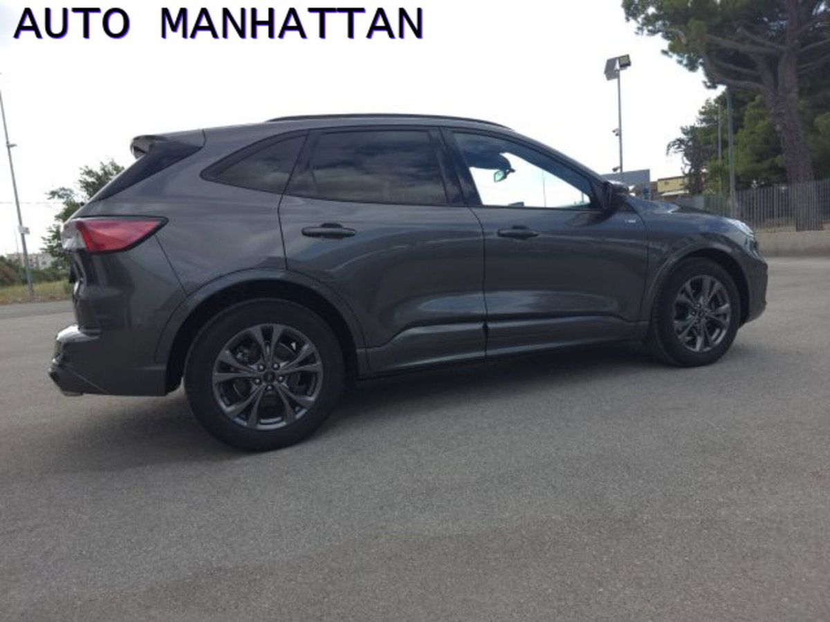 Ford Kuga 2.0 EcoBlue 120 CV aut. 2WD ST-Line X (5)