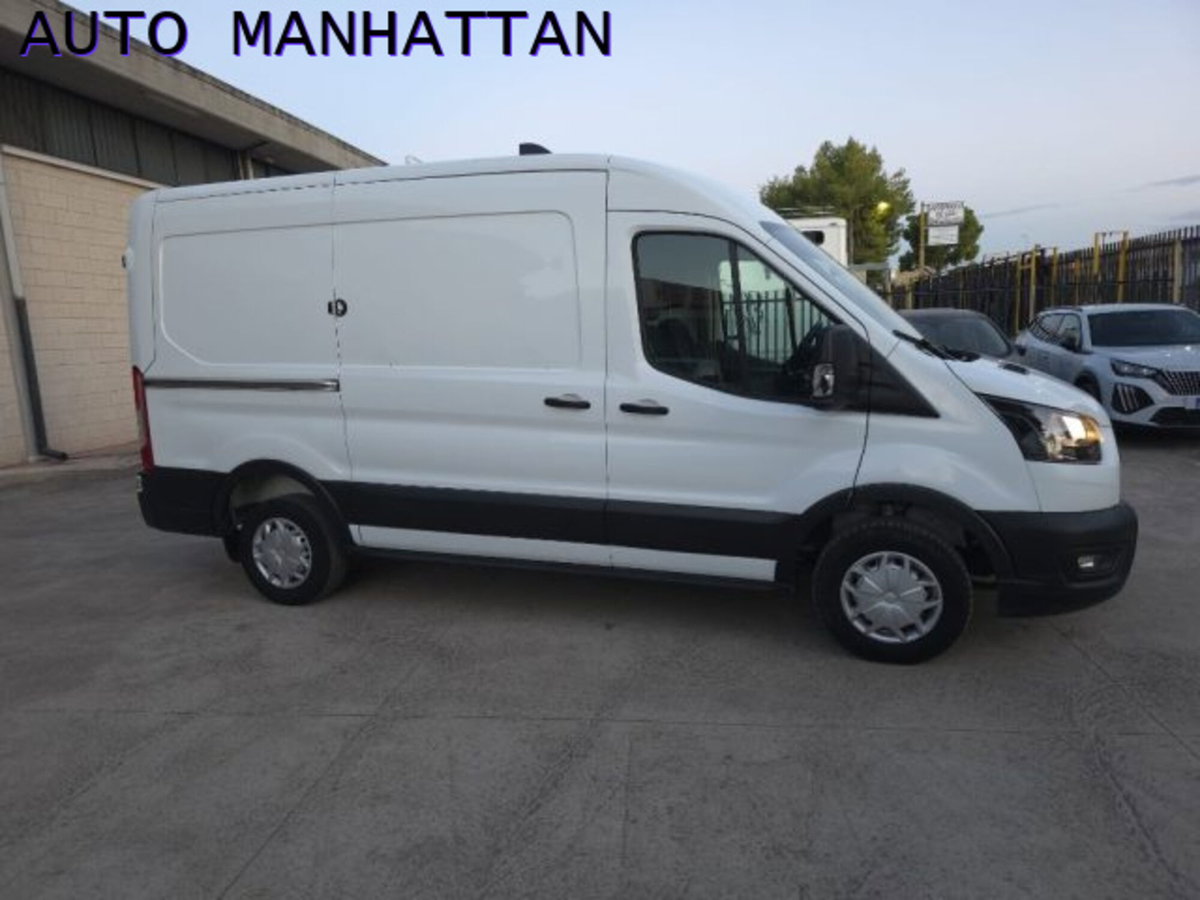Ford Transit Furgone 290 2.0TDCi EcoBlue 130CV PM-TM Furgone Trend (13)