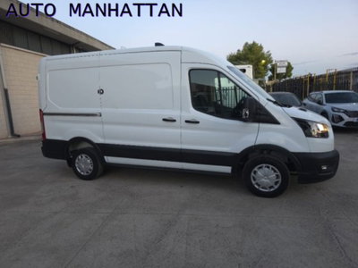 Ford Transit Furgone 290 2.0TDCi EcoBlue 130CV PM-TM Furgone Trend (13)