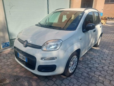 Fiat Panda 1.2 Easy usata