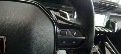 Peugeot 508 SW 1.5 bluehdi Allure s&s 130cv eat8 (12)