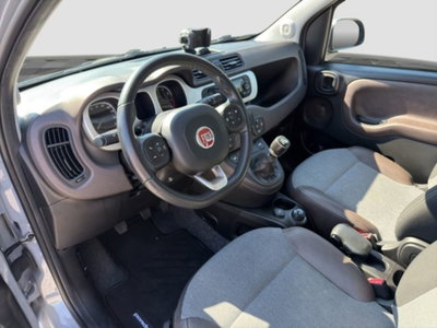 Fiat Panda Cross Cross 0.9 TwinAir Turbo S&S 4x4 (9)