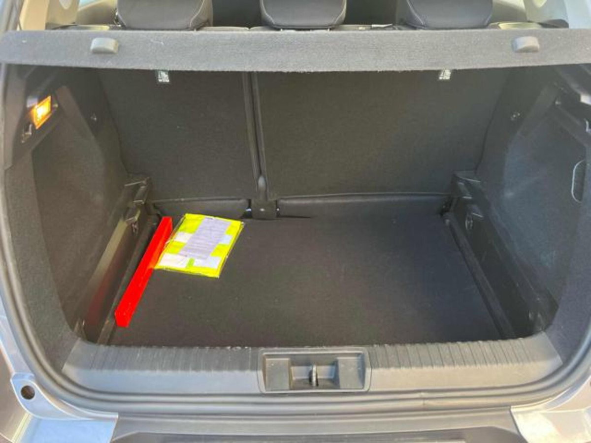 Renault Captur TCe 100 CV GPL Equilibre (16)