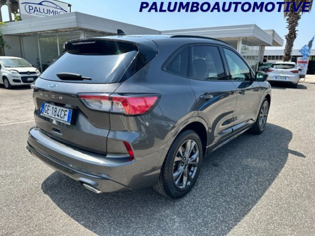 Ford Kuga 1.5 EcoBlue 120 CV 2WD ST-Line (5)