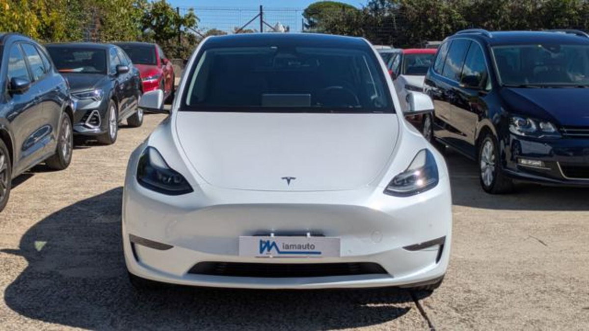 Tesla Model Y Performance Dual Motor awd (18)