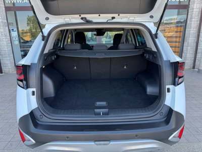 Kia Sportage 1.6 CRDI 115 CV 2WD Business Class (12)