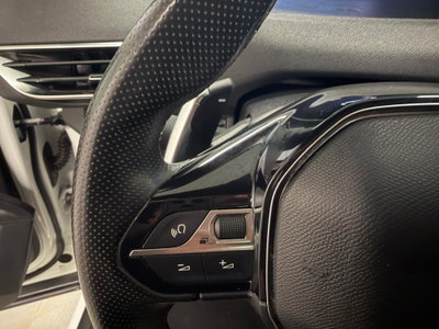 Peugeot 3008 BlueHDi 130 S&S EAT8 GT Line (11)