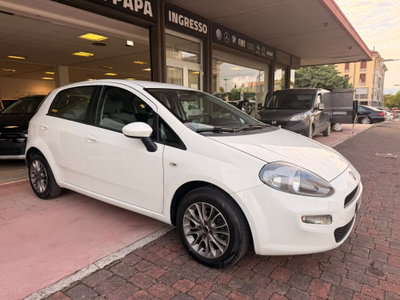 Fiat Punto 1.2 8V 5 porte Easy usata