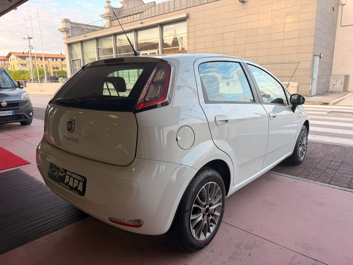 Fiat Punto 1.2 8V 5 porte Easy (4)