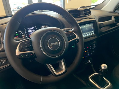 Jeep Renegade 1.6 Mjt 130 CV Longitude (9)