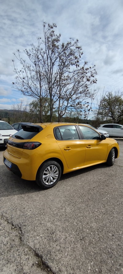 Peugeot 208 PureTech 75 Stop&Start 5 porte Active (8)