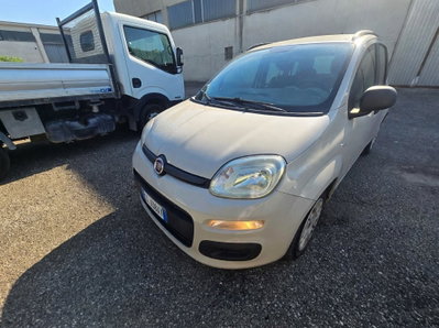 Fiat Panda 1.2 Pop usata