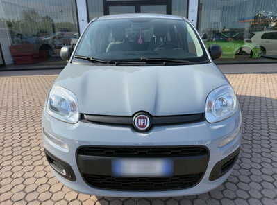 Fiat Panda 1.0 FireFly S&S Hybrid usata