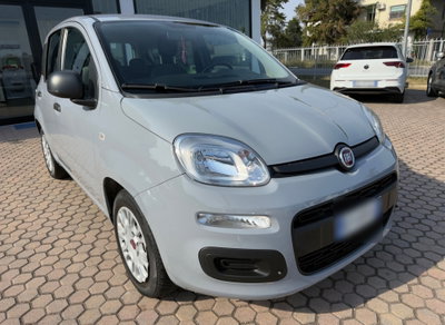 Fiat Panda 1.0 FireFly S&S Hybrid (2)