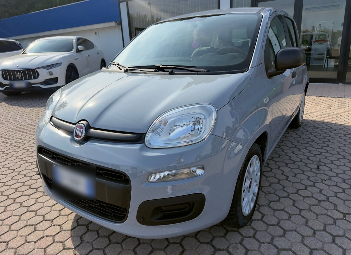 Fiat Panda 1.0 FireFly S&S Hybrid (3)