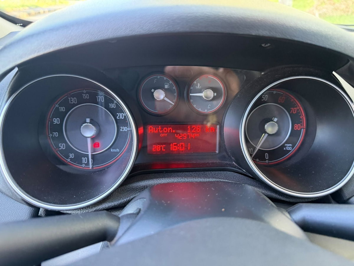 Fiat Punto 1.2 8V 5 porte Lounge (14)